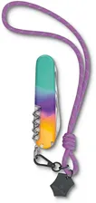 Нож перочинный Victorinox Companion Sydney Style (1.3909.E222), 91 мм