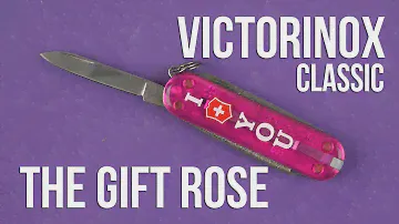 Распаковка Victorinox Classic The Gift Transpaprent-rose Vx06223.T855