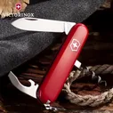 Нож VICTORINOX WAITER 0.3303