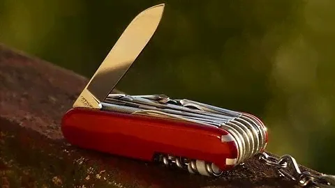 VICTORINOX mountaineer ОБЗОР Pan Zmitser #борода