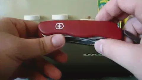 Страна вечной охоты: Victorinox WorkChamp