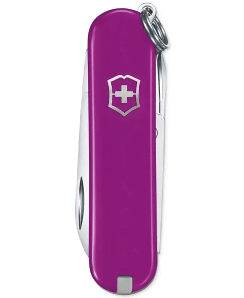 Нож Victorinox Swiss Army Classic SD Grape-2