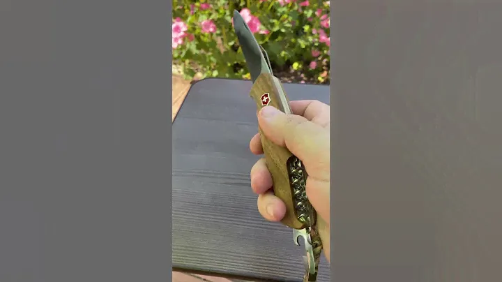 Victorinox RangerWood 55