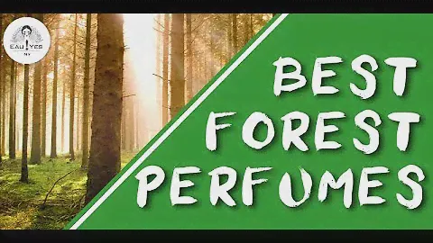 Best 6 Forest Perfumes that smell like pure nature