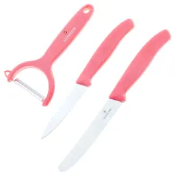 Набор кухонных ножей Victorinox 6.7113.31 (Швейцария)-1