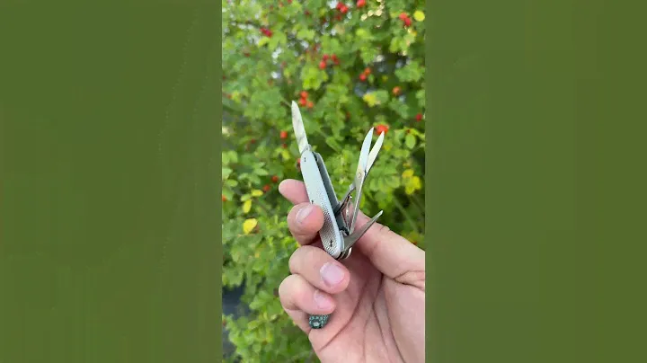 Victorinox pioneer x alox custom 2 layer knife perfect edc #swissarmyknife
