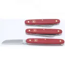 Нож VICTORINOX FLORAL 3.9050