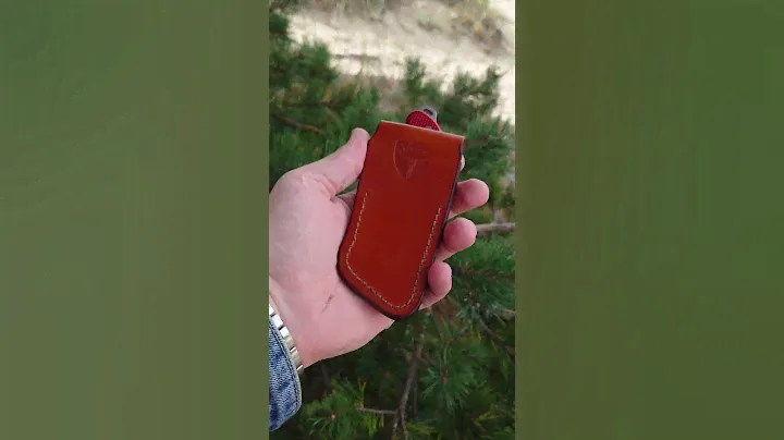 Чехол (кобура) для ножа Victorinox Hunter Pro Alox