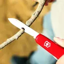 Нож VICTORINOX WAITER ECOLINE 2.3303