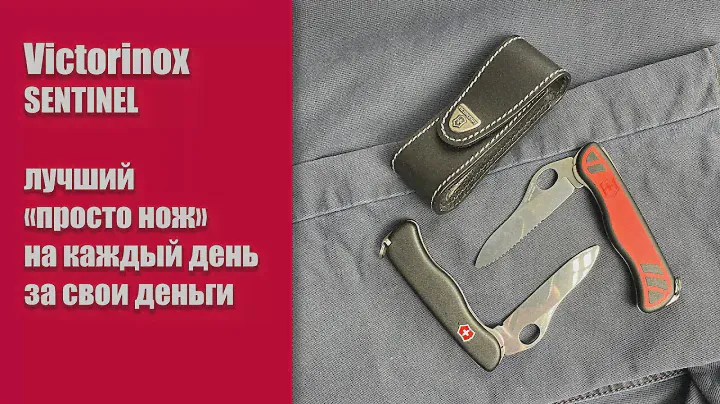 Victorinox Sentinel – хороший "просто нож" на каждый день.
