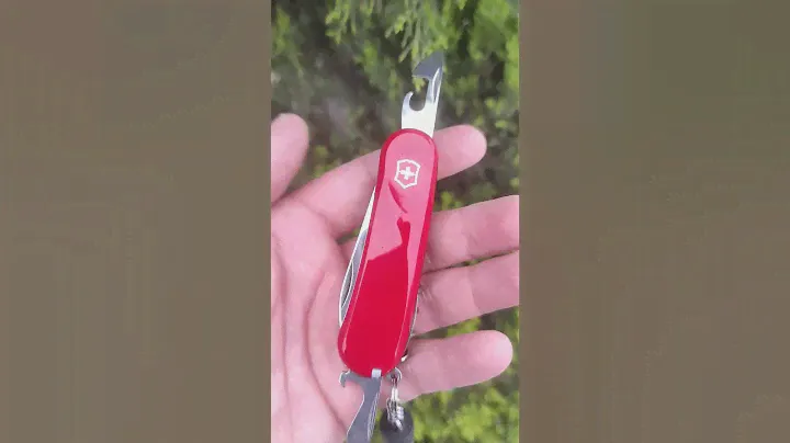 victorinox evolution 10 #edc #edcgear #victorinox #knife
