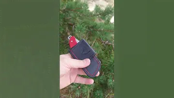 Чехол (кобура) для ножа Victorinox Hunter Pro Alox