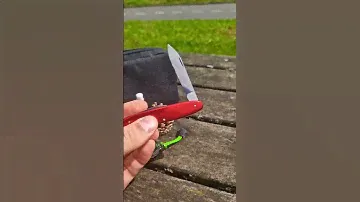 Victorinox excelsior red edc