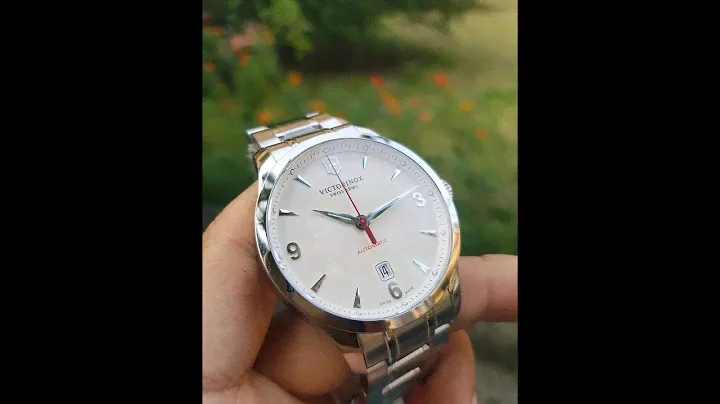 Review Victorinox Alliance 241667 stainless steel