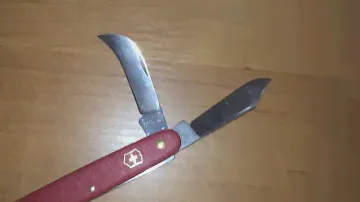 Нож садовый 100 мм 3 предмета красный нейлон Victorinox 3.9116 Код: Vx39116