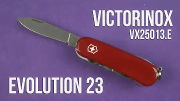 Распаковка Victorinox Evolution 23 (Vx25013.E)