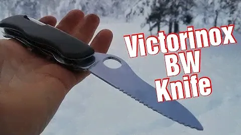 victorinox German army surplus knife.