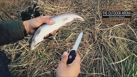 Victorinox Swiss Army Trekker:Perfect EDC Tool! REVIEW