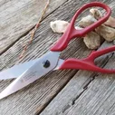 Кухонные ножницы VICTORINOX 7.6363