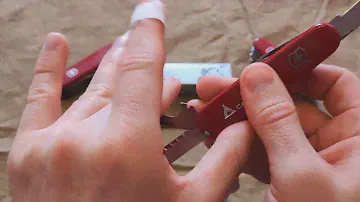 Victorinox camper. Обзор