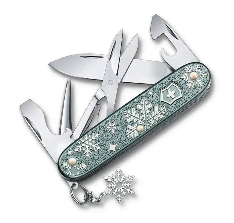 2255 Victorinox Pioneer X Winter Magic SE 2020-0