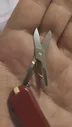 🛍 Пружина для ножниц и ножей "Victorinox", 58 мм (модели 0.620.63..)