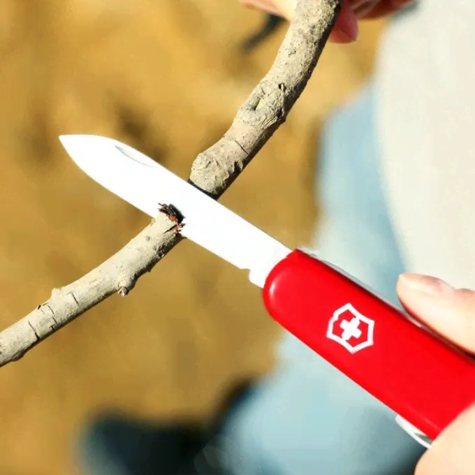 Нож VICTORINOX WAITER ECOLINE 2.3303-0
