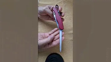 Victorinox Workchamp
