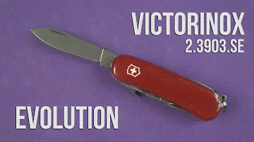 Распаковка Victorinox Evolution (2.3903.SE)