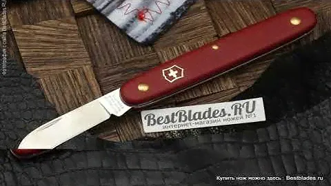 Нож садовый Victorinox Floral 3.9060