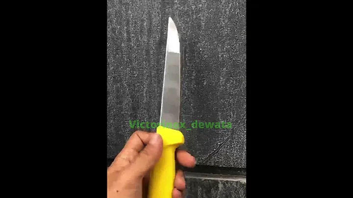 Victorinox boning / sembelih with yellow fibrox handle 5.6008.15