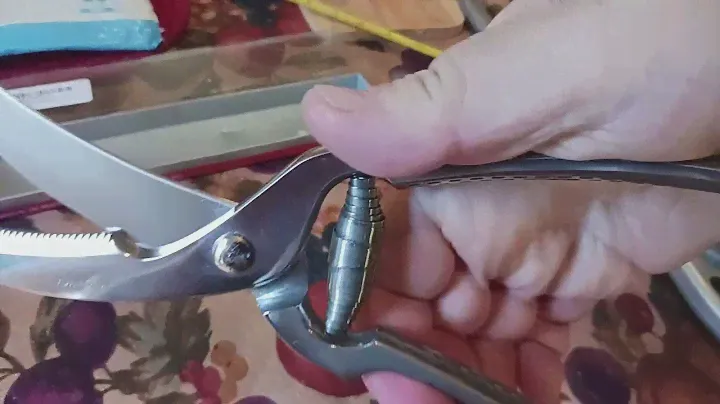 791 Best Poultry Shears Kitchen Scissors Victorinox 7.6345 Amazon Review