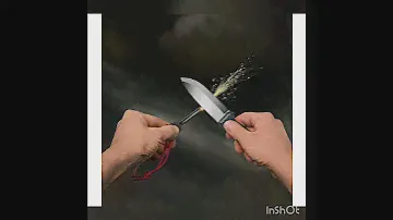 Victorinox outdoor master
